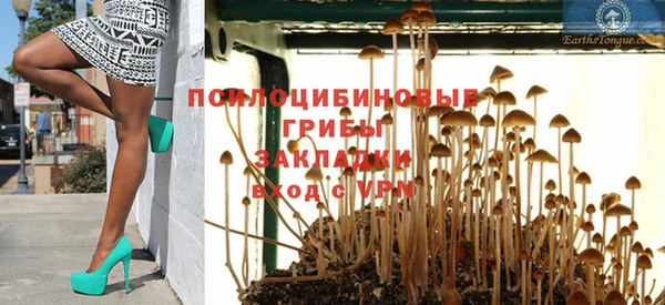 прущая мука Кодинск