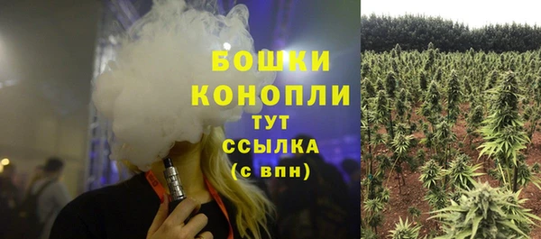 хмурый Новозыбков