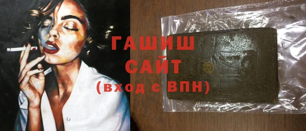 гашик Краснослободск