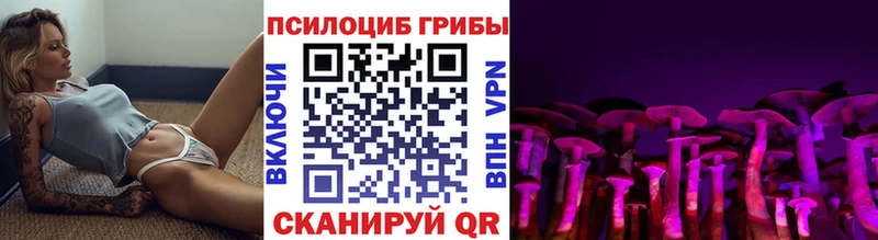 Псилоцибиновые грибы мицелий  купить наркотик  Куртамыш 